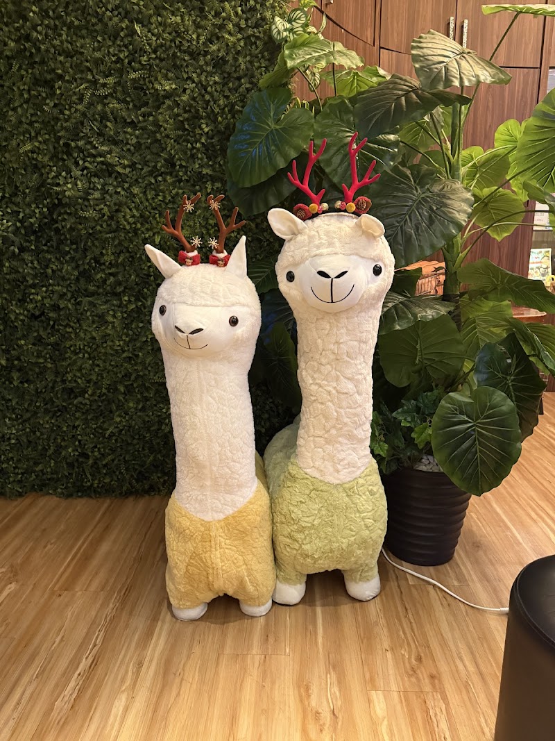 店家照片 10