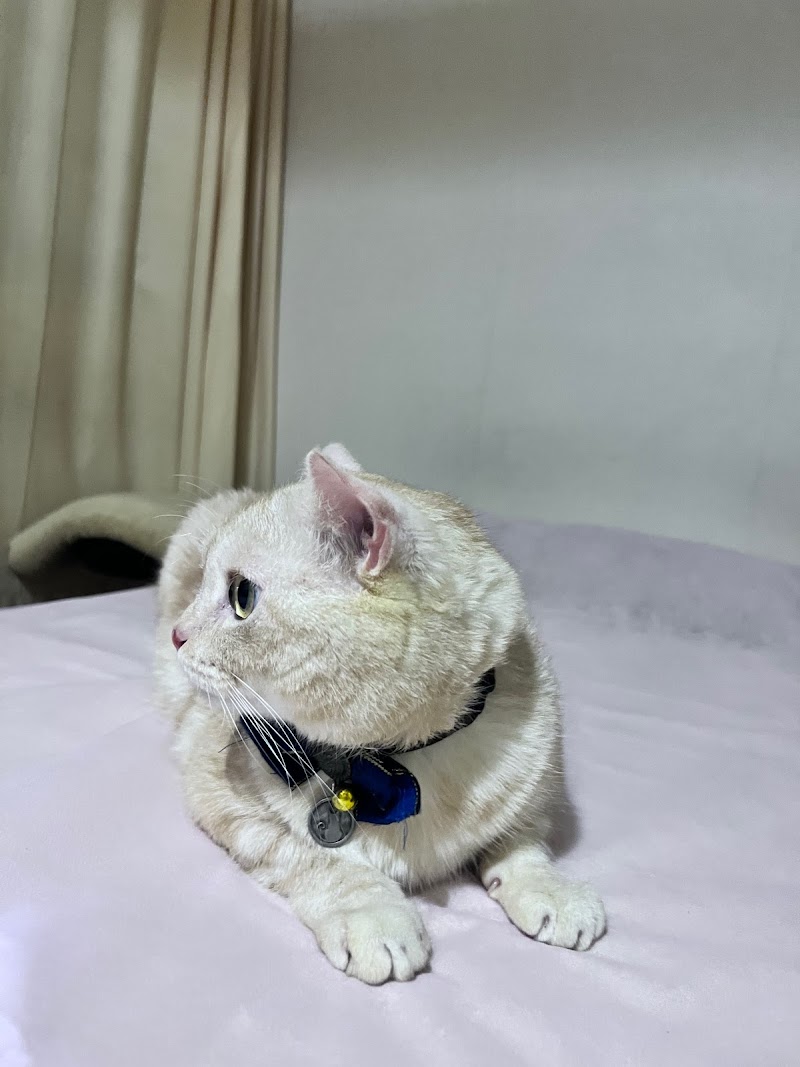 店家照片 9