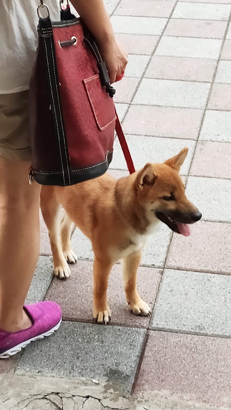 店家照片 6