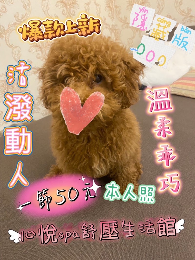 店家照片 9