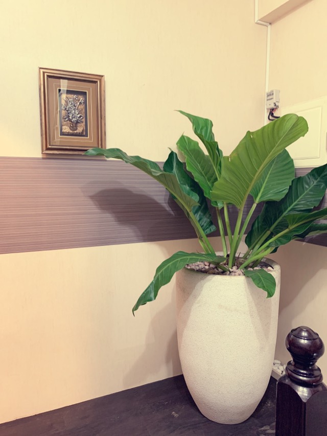 店家照片 20