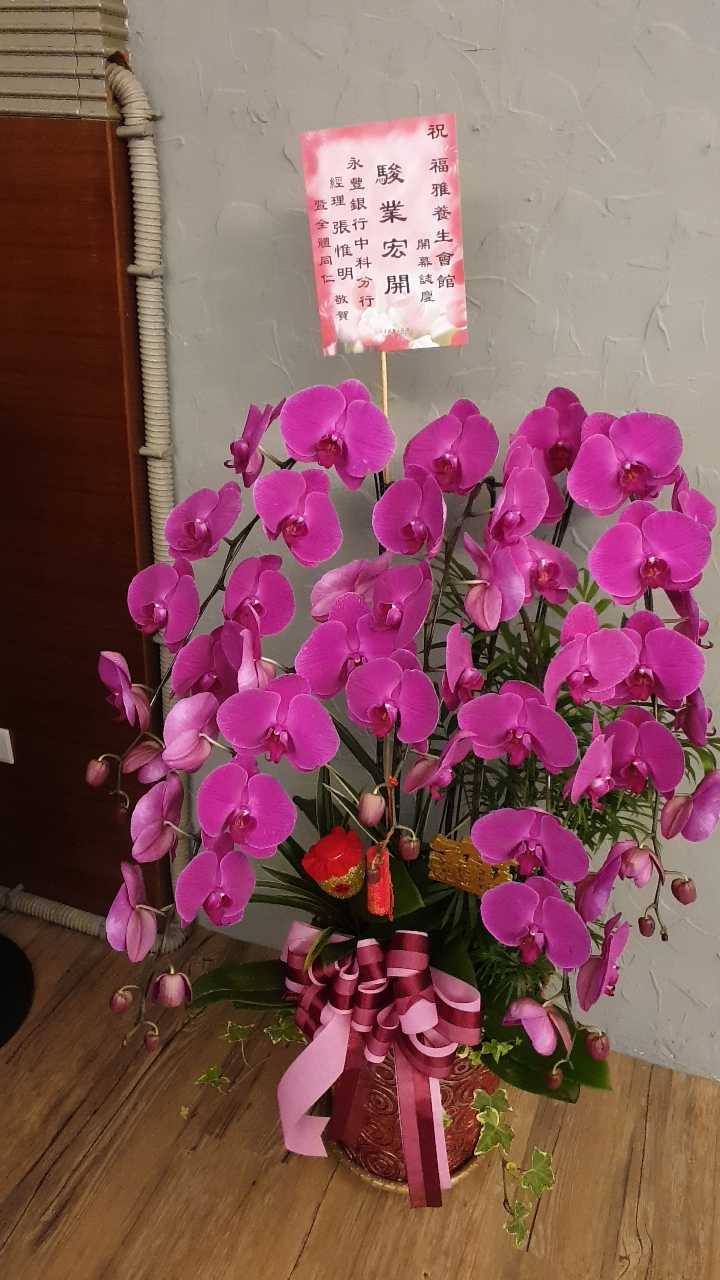 福雅養生會館Formosan Massage - 店家實景照片 8 - 台中