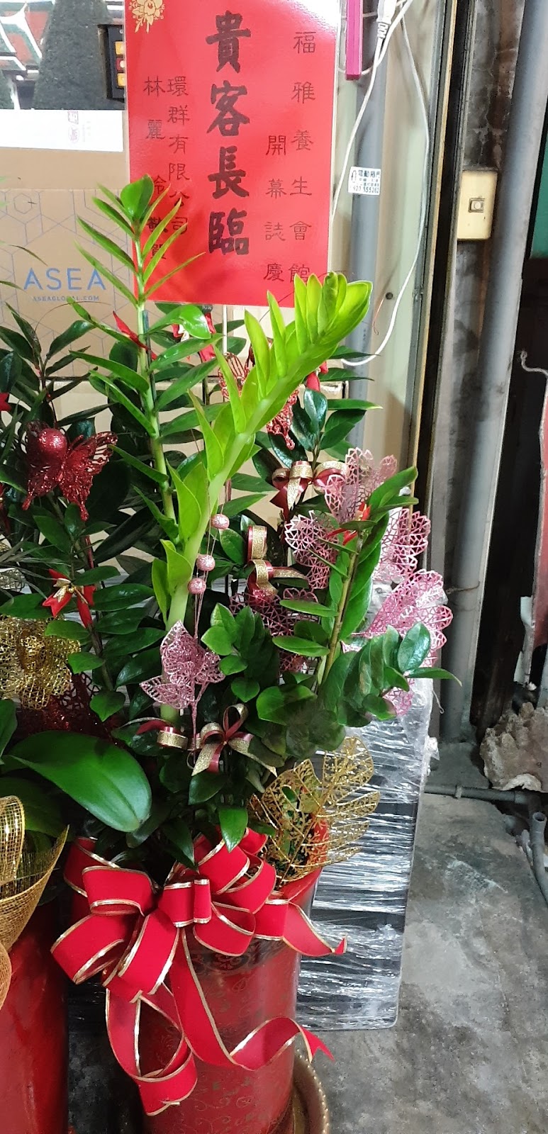 福雅養生會館Formosan Massage - 店家實景照片 9 - 台中