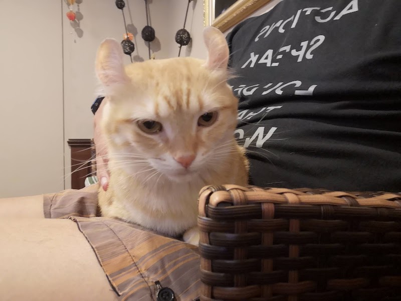 店家照片 43