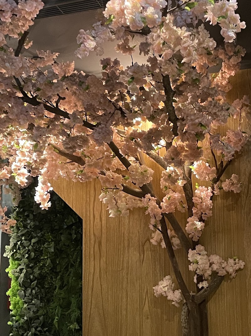 指舞春秋足體養生會館-士林會館 - 店家實景照片 6 - 台北