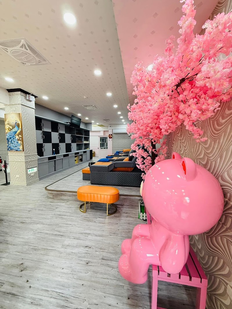店家照片 11