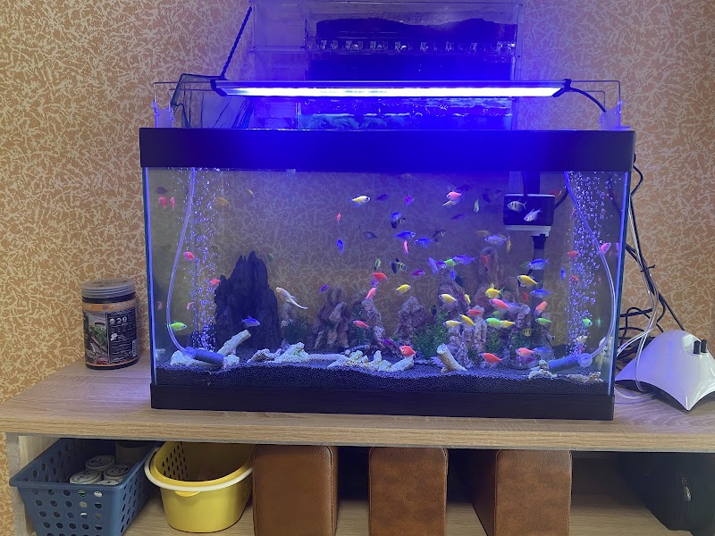 圓圓養生館 - 店家實景照片 3 - 新竹