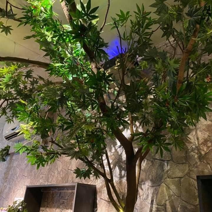 店家照片 17