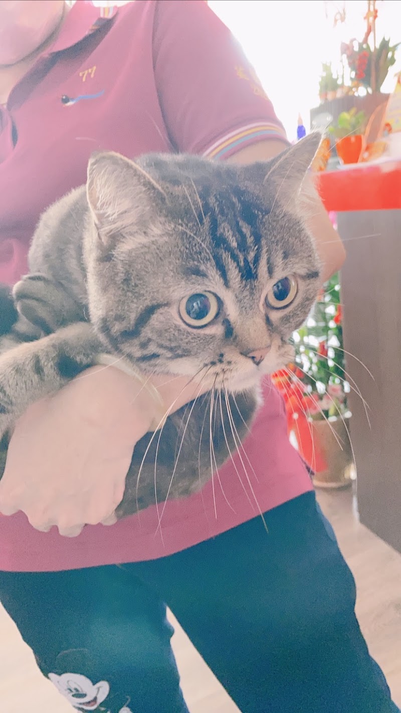 店家照片 19