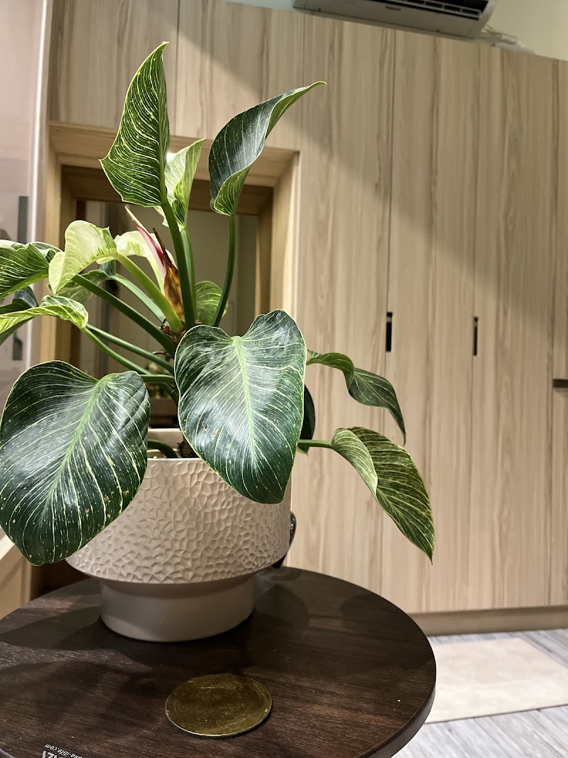 Anmo spa 2號店店家實景照片12 - 台中