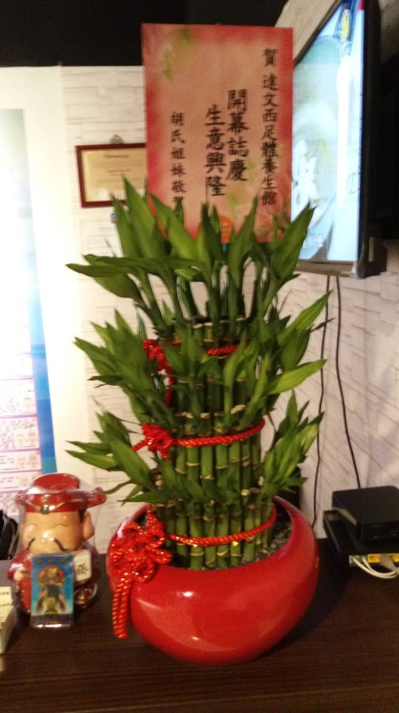 達文西足體保健養生會館店家實景照片6 - 新北