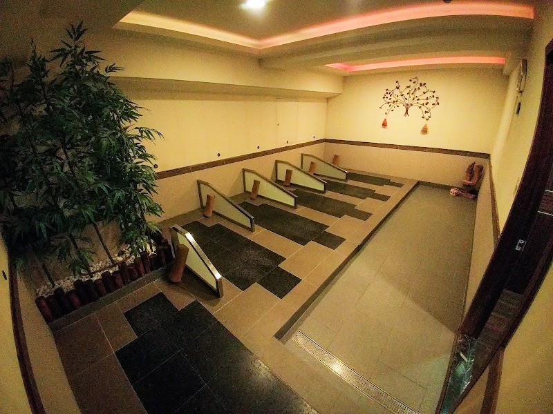 生命樹養身館 Tree of Life店家實景照片1 - 新北