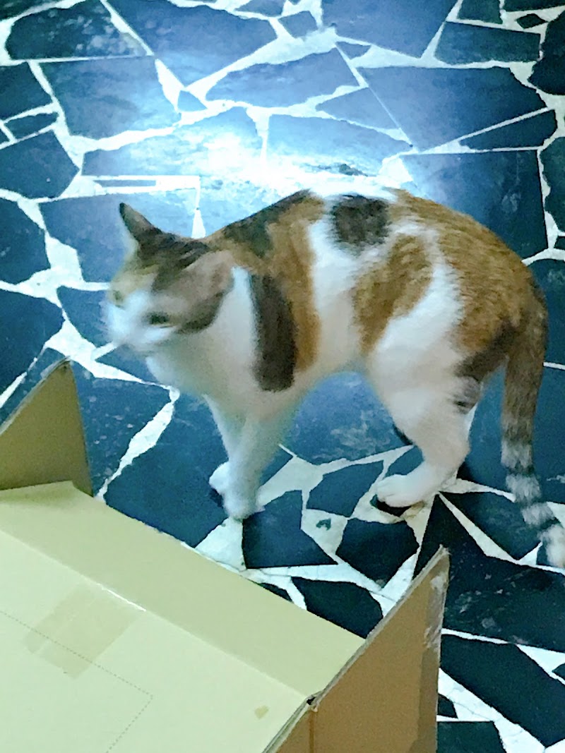 店家照片 26