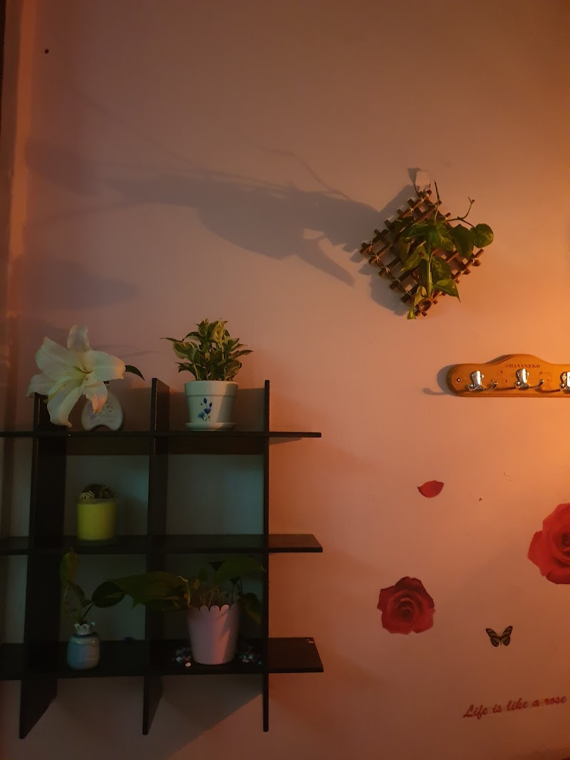 潘潘按摩工作坊店家實景照片2 - 新北