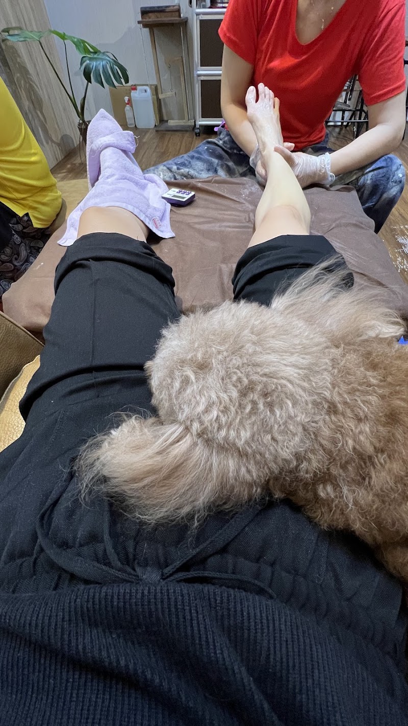 店家照片 8