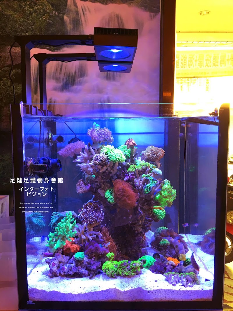 店家照片 2