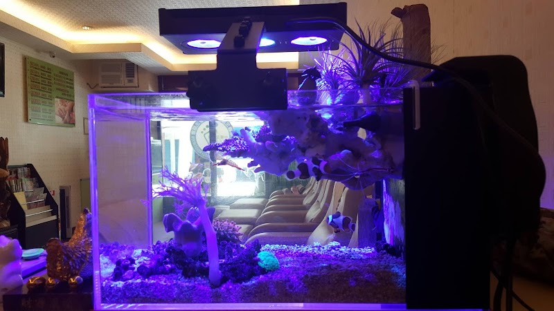 店家照片 9