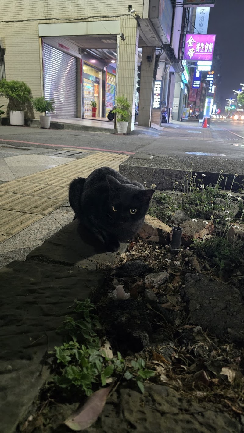 店家照片 15