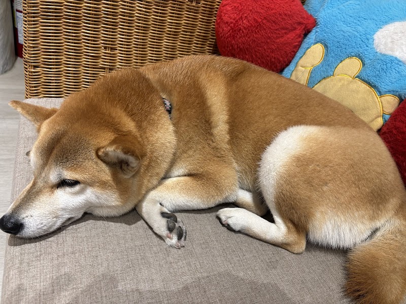 店家照片 1