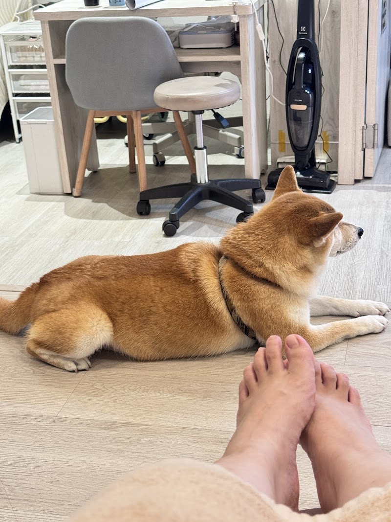 店家照片 4