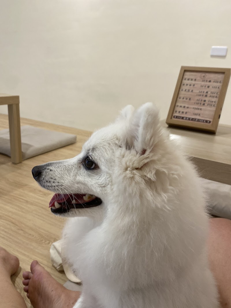 店家照片 4