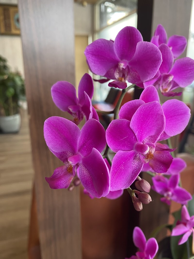店家照片 1