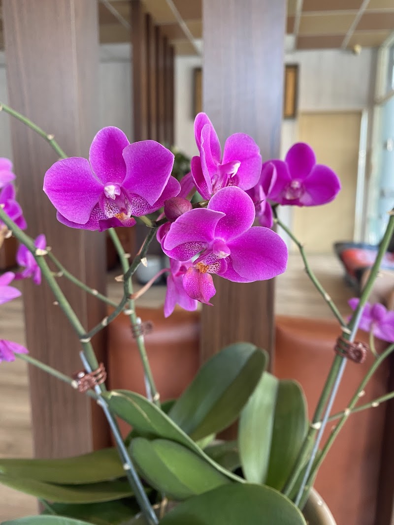 店家照片 8