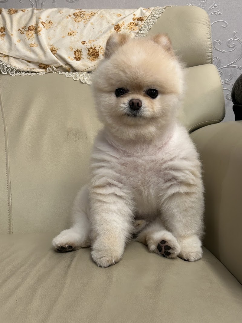 店家照片 7