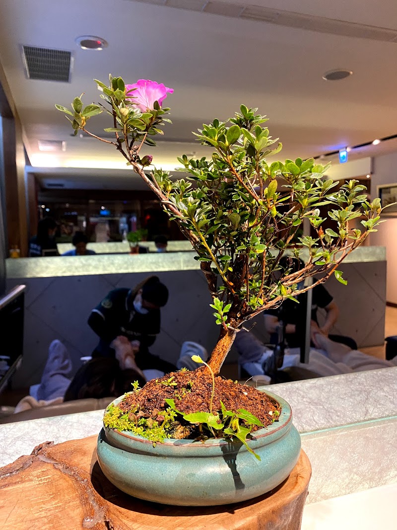 店家照片 6