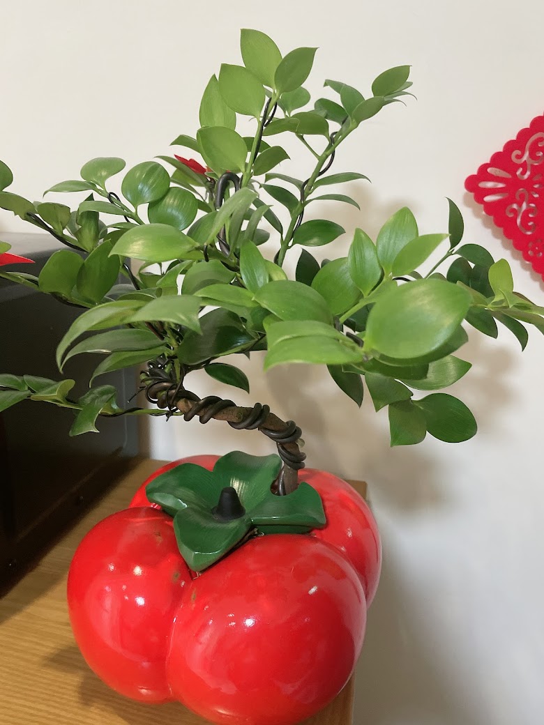 店家照片 3