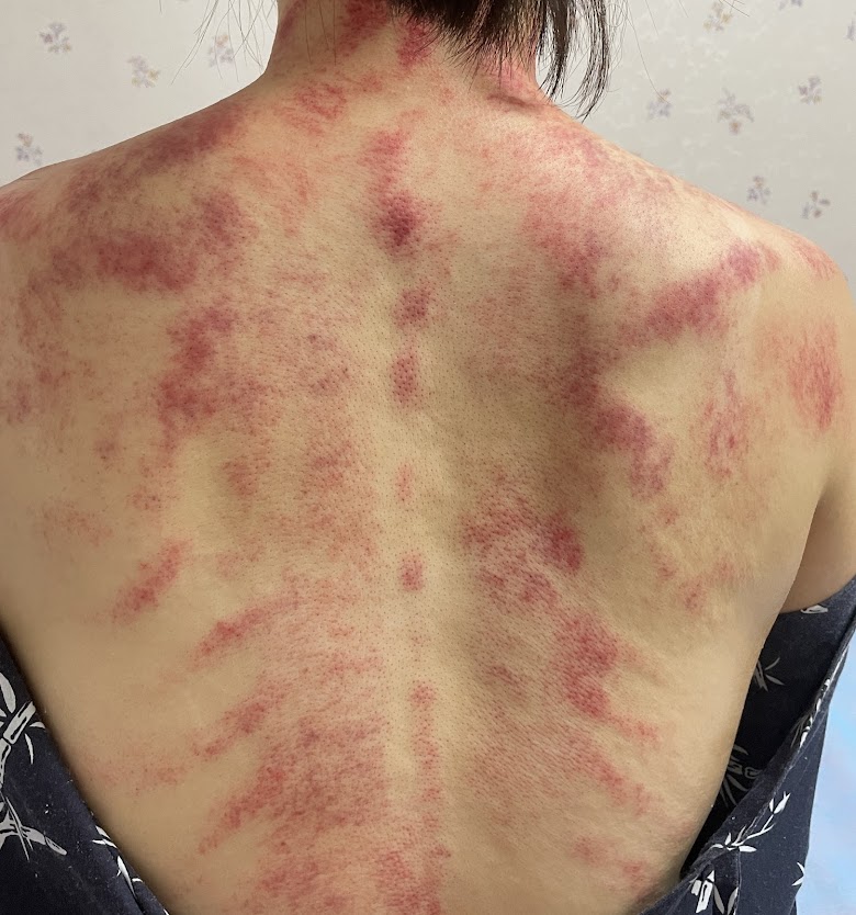 店家照片 7
