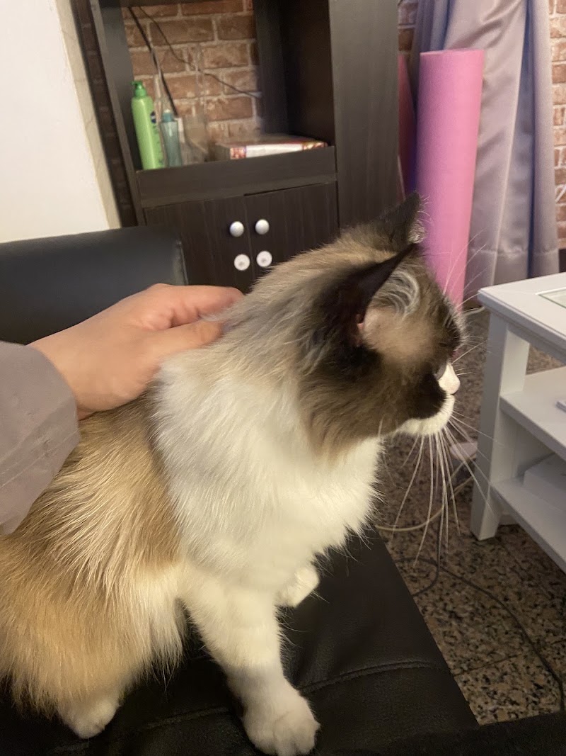 店家照片 5
