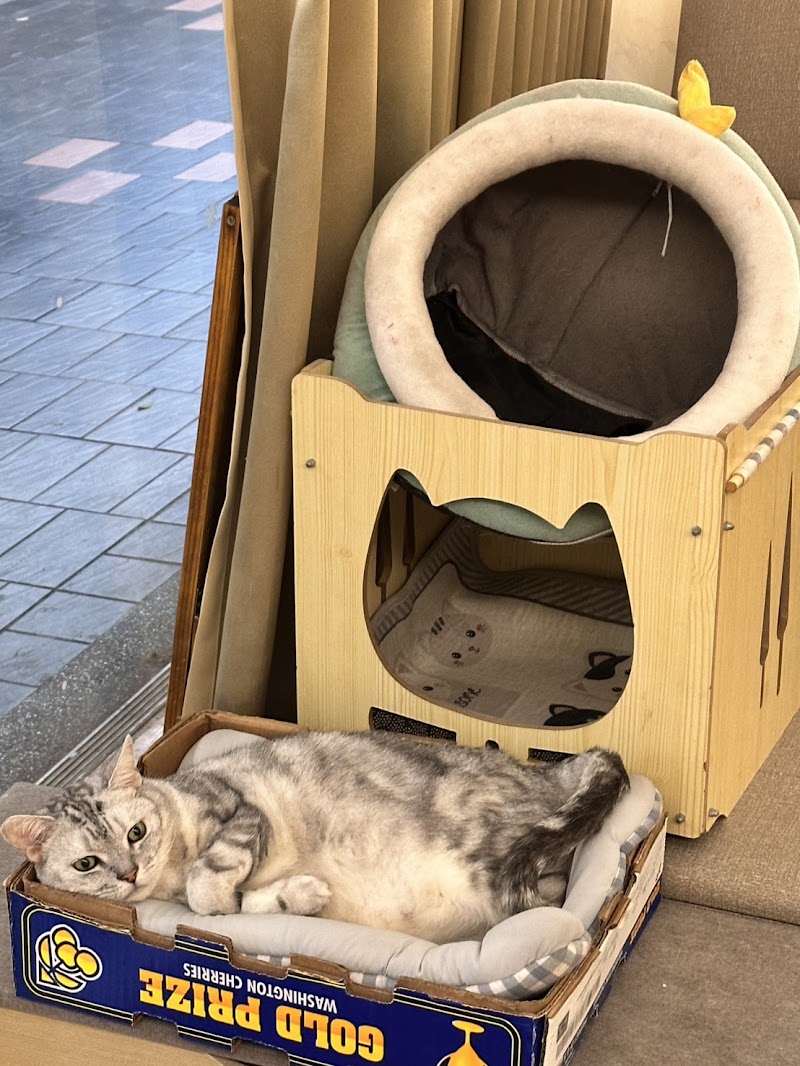 店家照片 4