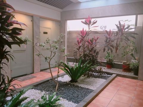 彭村梅spa美容養生館草屯店 封面照片
