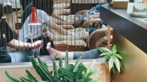 箱根養生館/台南按摩請先預約 封面照片